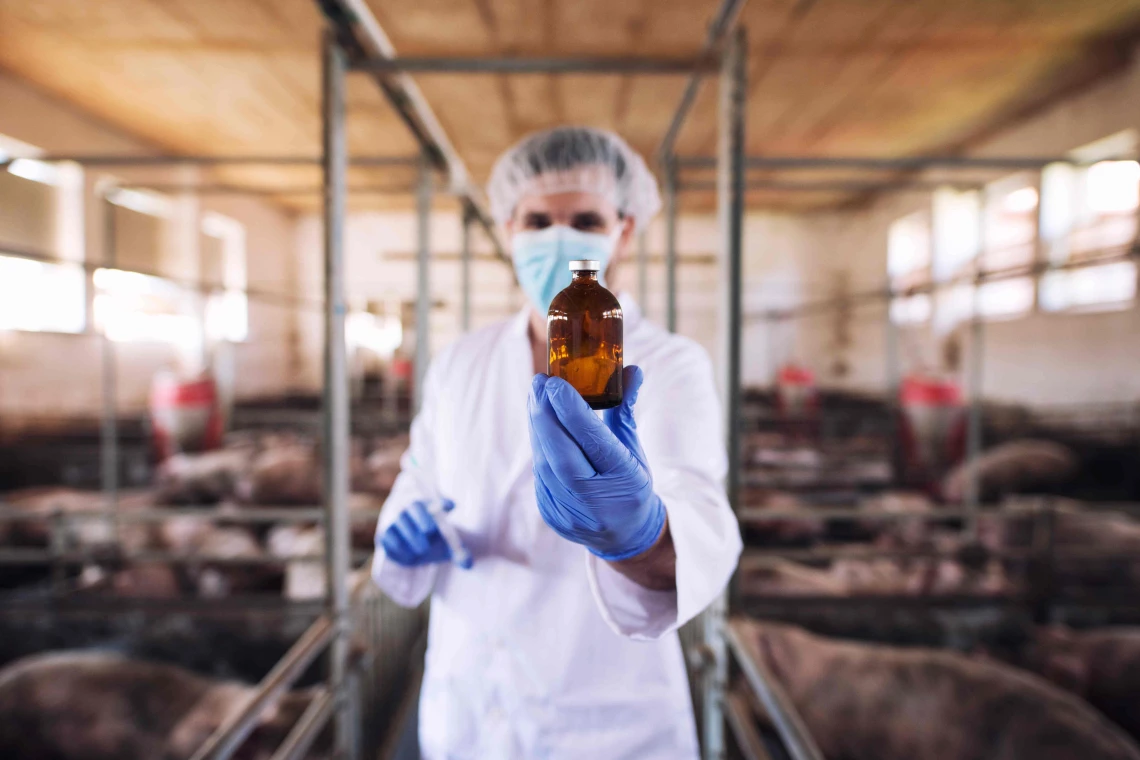 Ptasia grypa H5N1 wstępem do Resetu Finansowego? Apel organizacji TLS